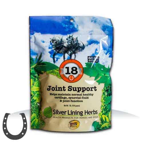 Silver Lining #18 Joint Support