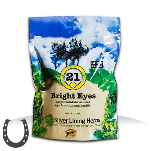 Silver Lining #21 Bright Eyes
