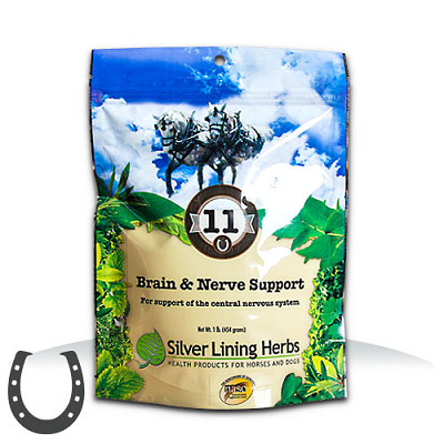 Silver Lining #11 Brain & Nerve Support