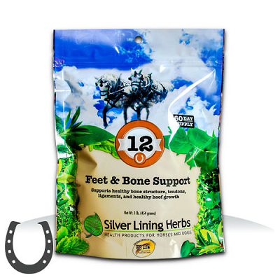 Silver Lining #12 Feet & Bone Support