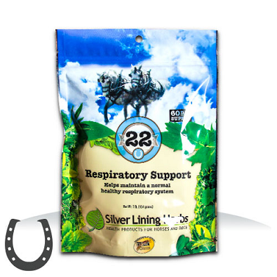 Silver Lining #22 Respiratory Support