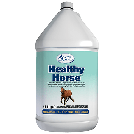 Healthy Horse – 4 L