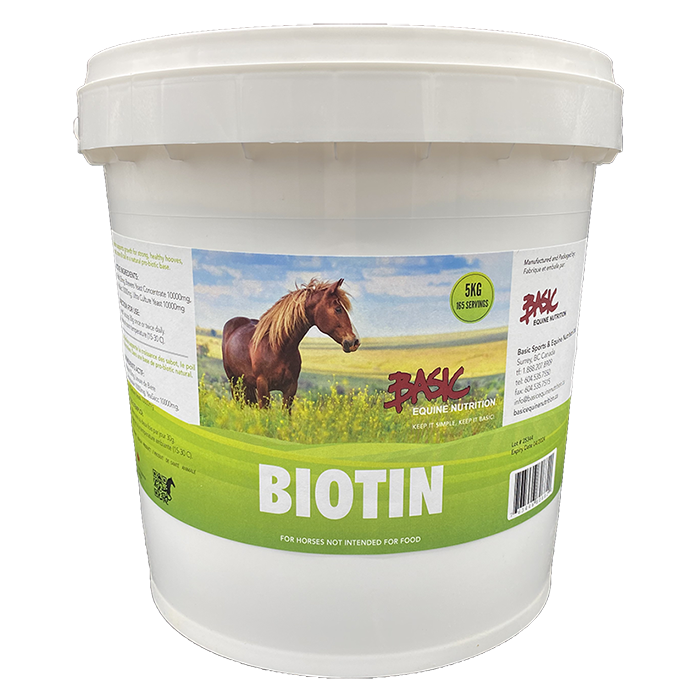 Biotin - Lonestar Tack and Feed