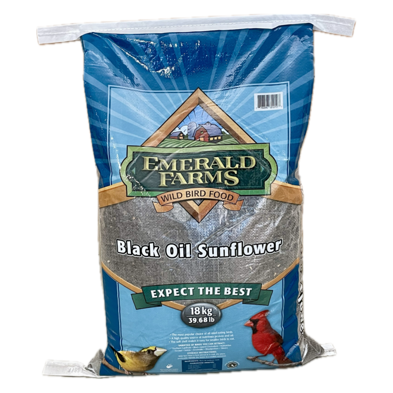 Black Oil Sunflower Seeds - Lonestar Tack and Feed