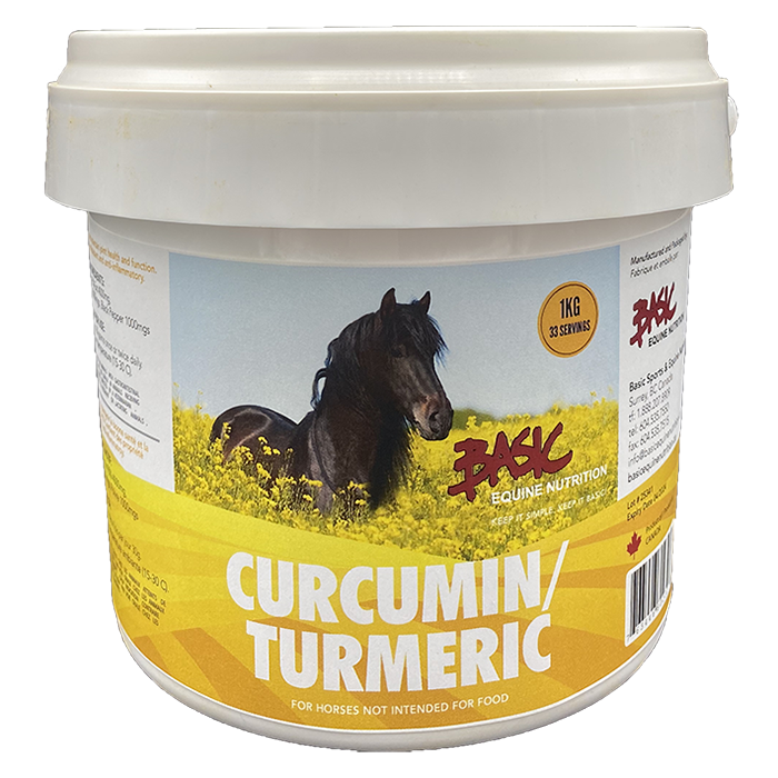 Basic Equine Curcumin/Turmeric - 1 kg