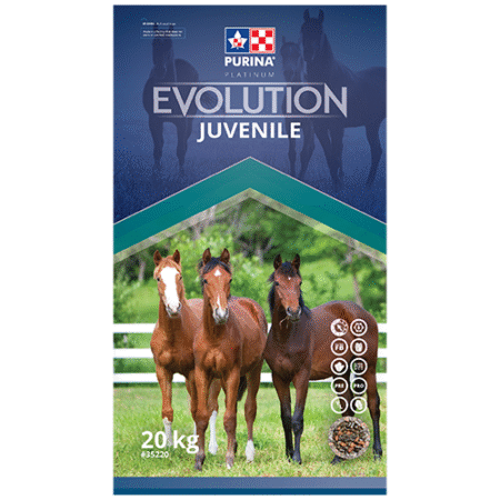 Purina Evolution Juvenile