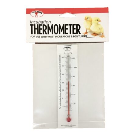 Incubator Thermometer