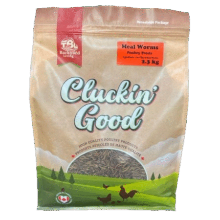 Meal Worms - 2.3 kg