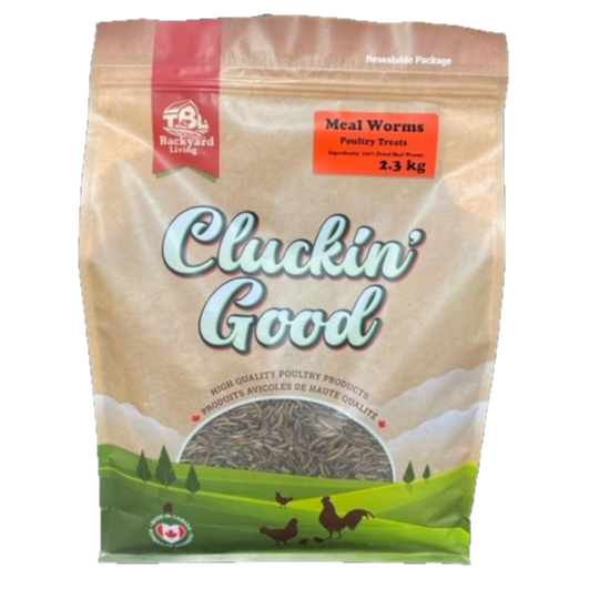 Meal Worms - 2.3 kg