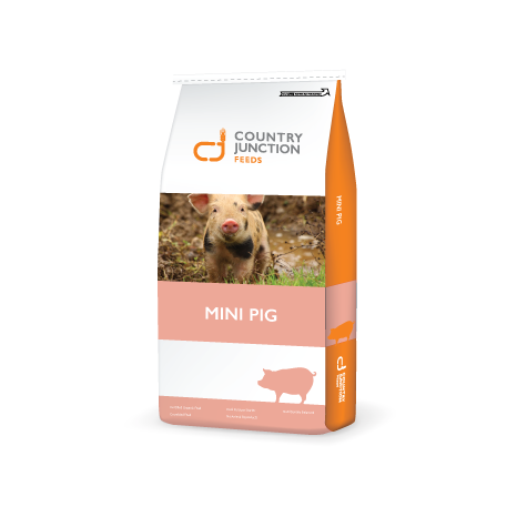 Mini Pig Maintenance Diet Pellet - 20 kg