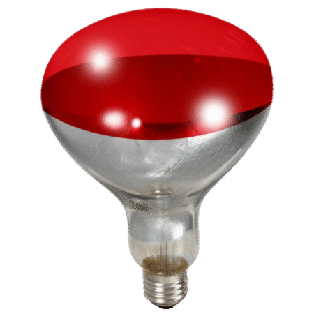 Poultry Heating Bulb - Red - 250 Watt - 2 Pack