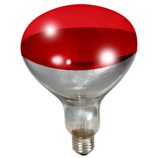 Poultry Heating Bulb - Red - 250 Watt - 2 Pack