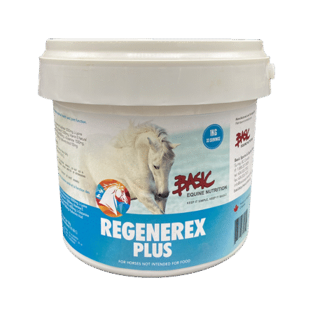 Basic Equine Regenerex Plus - 1 kg