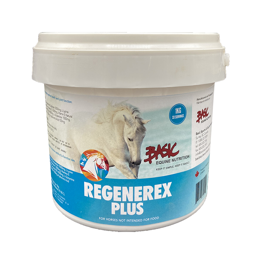 Basic Equine Regenerex Plus - 1 kg