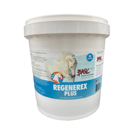 Basic Equine Regenerex Plus - 25 kg