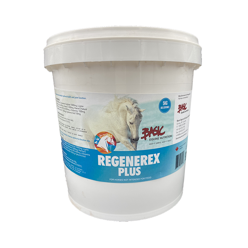 Basic Equine Regenerex Plus - 25 kg