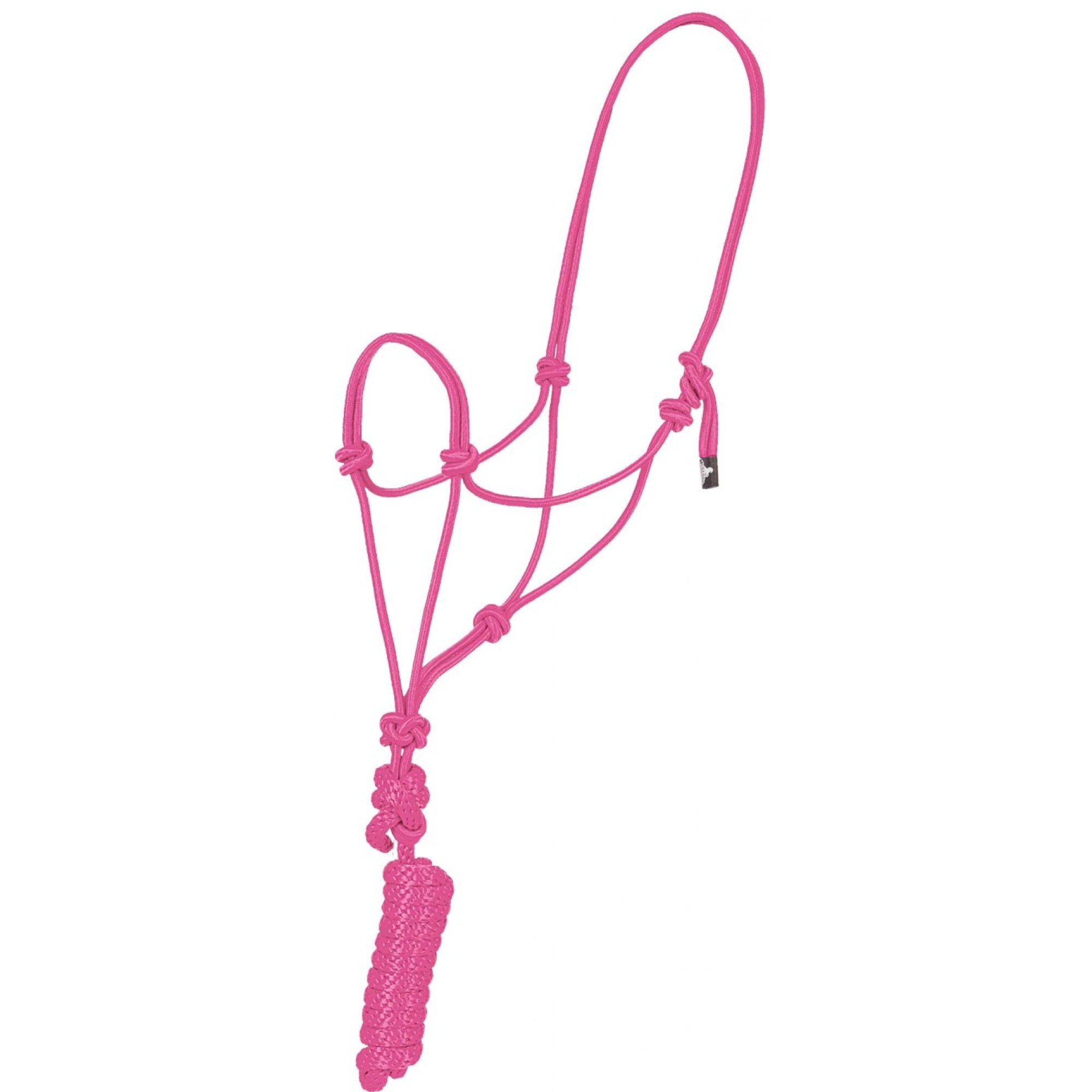 Rope Halter with Lead - Assorted Colours