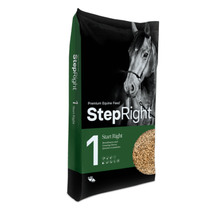 Step 1 - Start Right - 20 kg