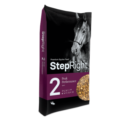 Step 2 - Peak Performance - 20 kg