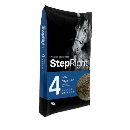 Step 4 Low Sugar Lite