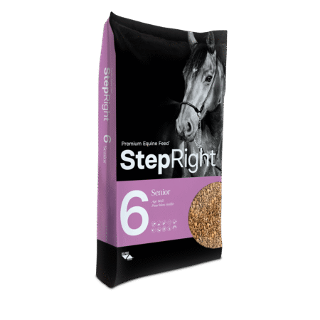 Step 6 - Senior - 20 kg