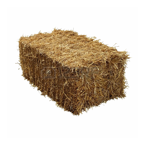 Small Square Wheat Straw Bales