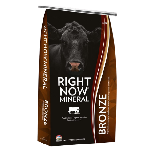 Right Now Bronze Mineral