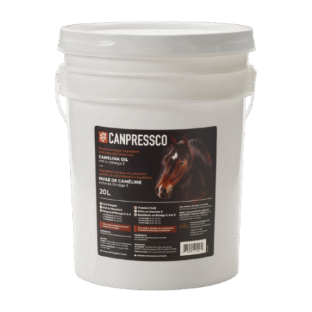 Camelina Oil Omega 3/6 - 20 L