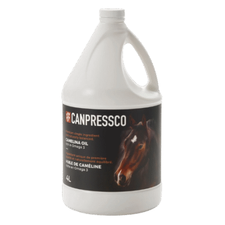 Camelina Oil Omega 3/6 - 4 L