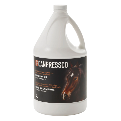 Camelina Oil Omega 3/6 - 4 L