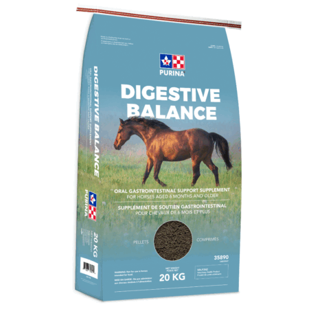 Purina Digestive Balance