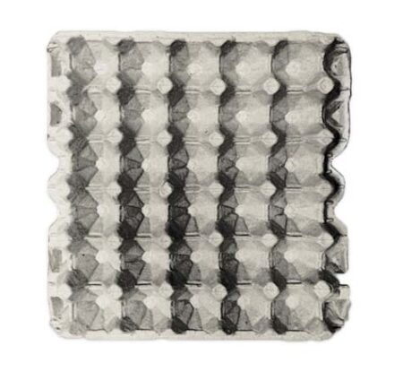 Egg Flat - 30 Eggs