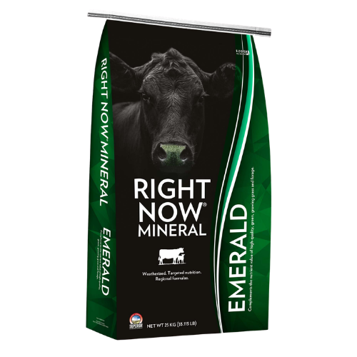 Right Now Emerald Mineral - 25 kg