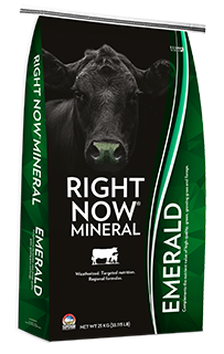 Right Now Emerald Mineral - 25 kg