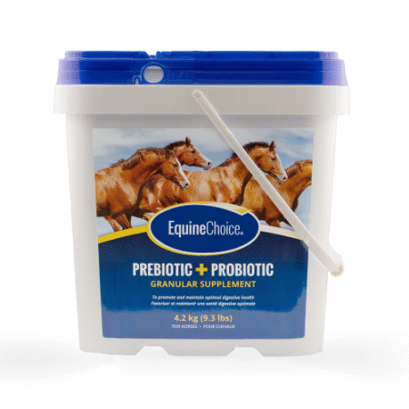 Equine Choice Pre & Probiotic - 4.2 kg