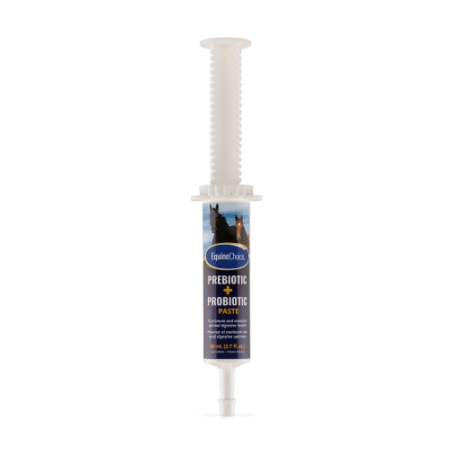 Equine Choice Pre & ProBiotic Paste - 80cc