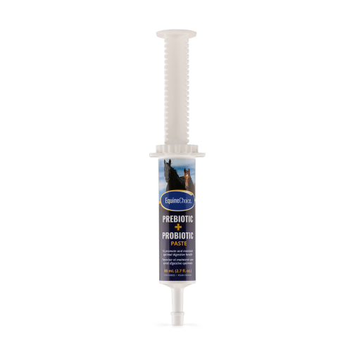 Equine Choice Pre & ProBiotic Paste - 80cc