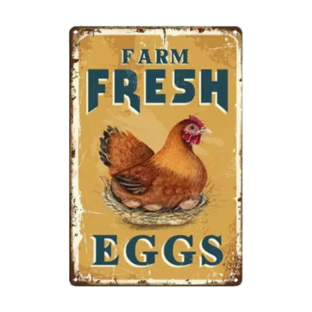 Fresh Farm Eggs - Sign