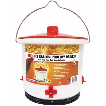 Heated Poultry Waterer - 2 Gallon