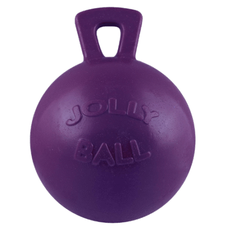10" Jolly Ball - Purple