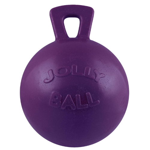 10" Jolly Ball - Purple