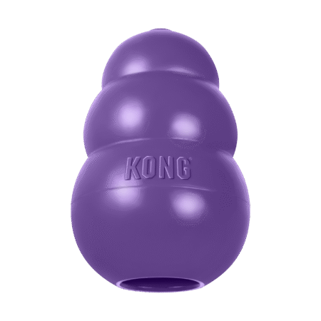 Kong Senior Purple - Medium