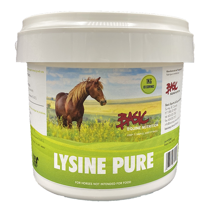 Basic Equine Lysine - 1 kg