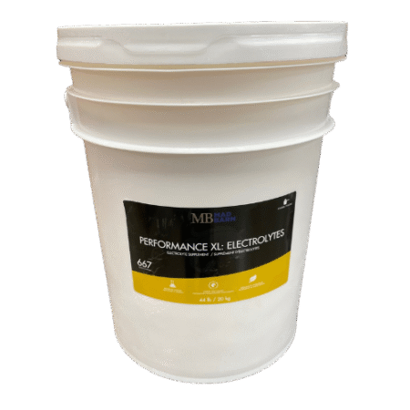 Mad Barn Performance XL Electrolyte - 20 kg