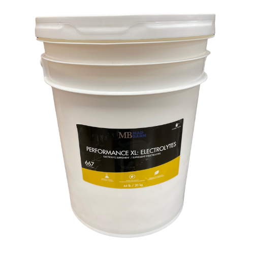 Mad Barn Performance XL Electrolyte - 20 kg