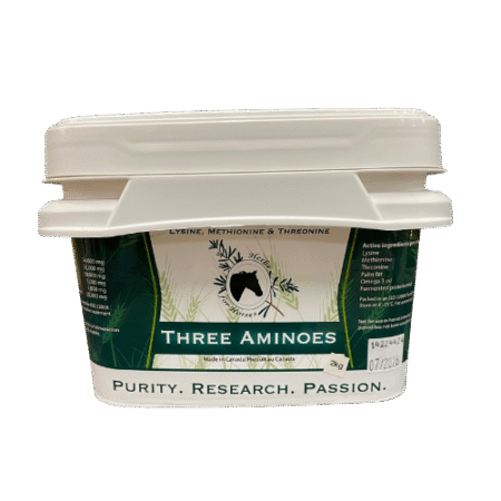 Herbs for Horses Three Aminos - 2 kg