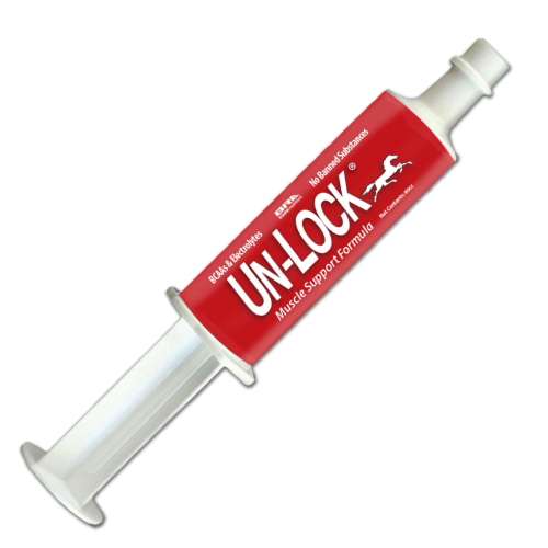 Un-Lock Muscle Support - 80cc