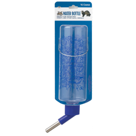 Water Bottle - 16 oz