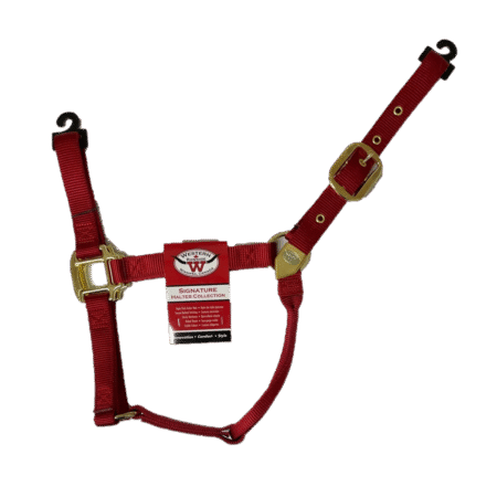 Signature Classic Halter - Small