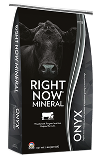 Right Now Onyx Mineral - 25 kg